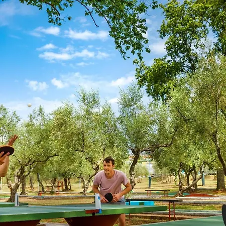 Vakantiepark Aminess Planet Homes Maravea Mareda